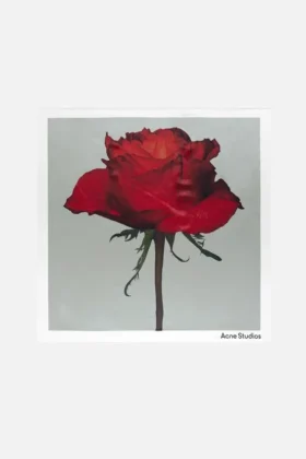 Foulard carré en soie